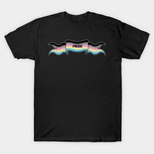 polygender pride banner T-Shirt